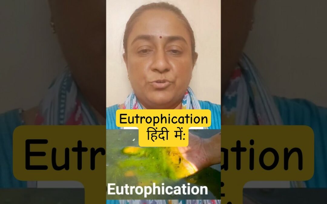 Eutrophication हिंदी में: Understanding the Impact on Aquatic Ecosystems #shortsfeed #ytshorts