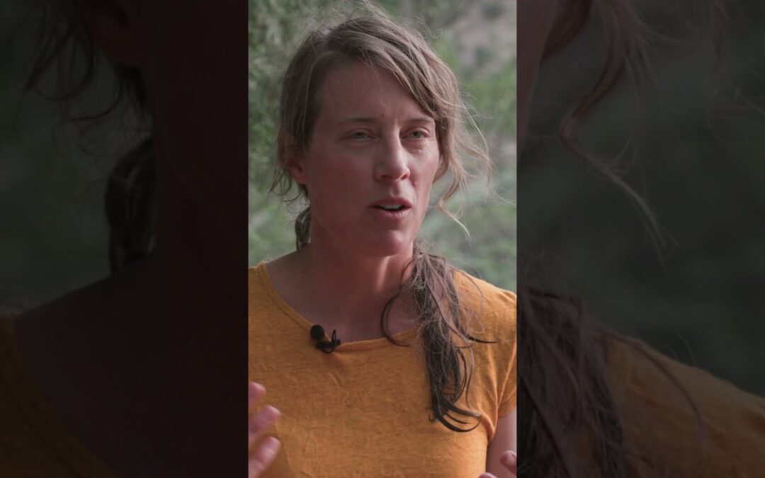 Beaver Research Champion: Desirée Tullos
