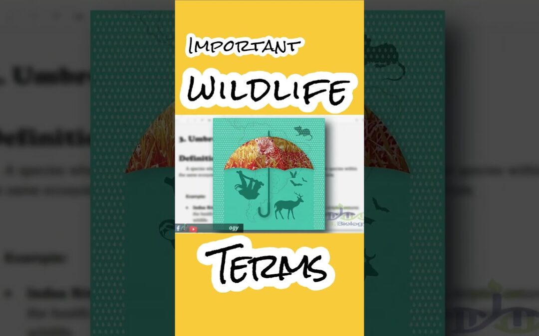 Highlight Wildlife Term KEYSTONE, FLAGSHIP, Umbrella, EXOTIC, and FERAL SPECIES