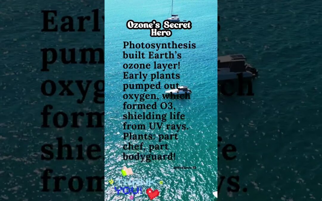 Won’t Believe These AMAZING Photosynthesis Facts! #photosynthesis #quotes #facts #plants #biology