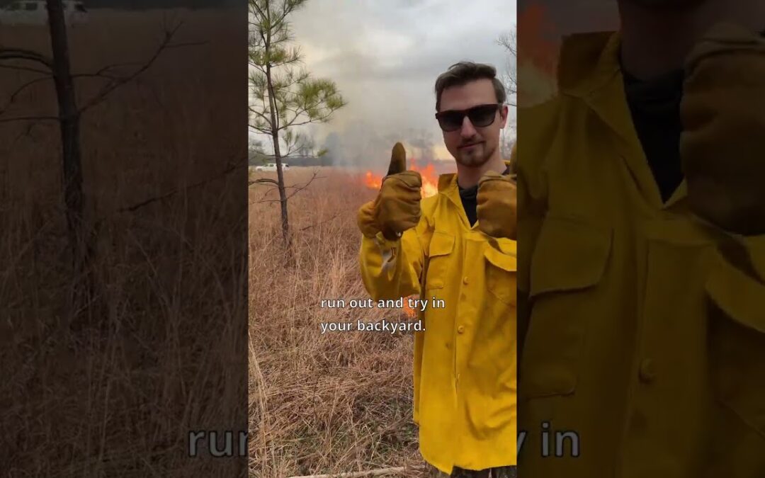 Why I am burning this land #nature