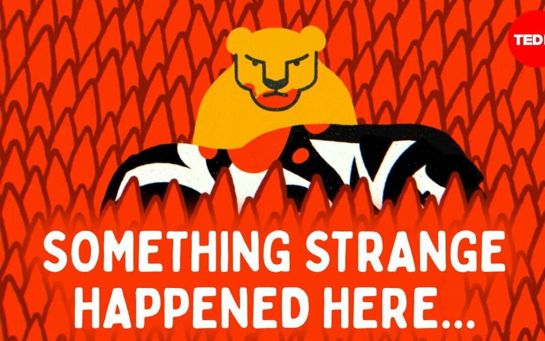 Can you figure out the savanna mystery? – Cella Wright