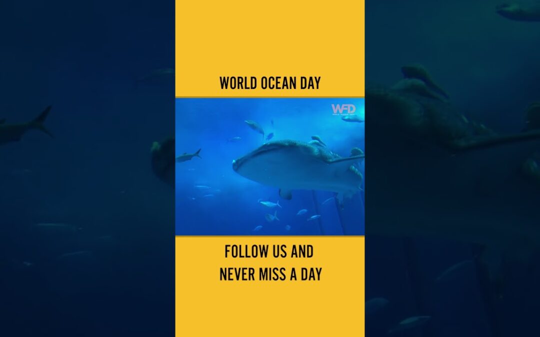08 June celebrated as World Ocean Day