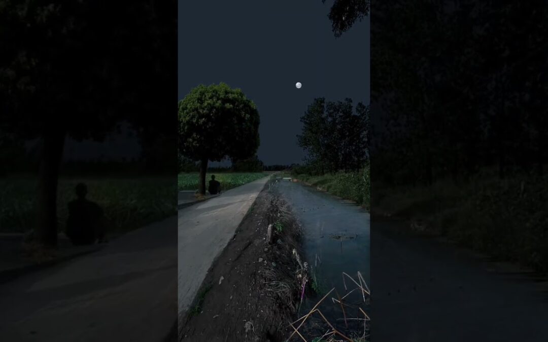 feel the nature at night  #nature #feel #peace #loneliness