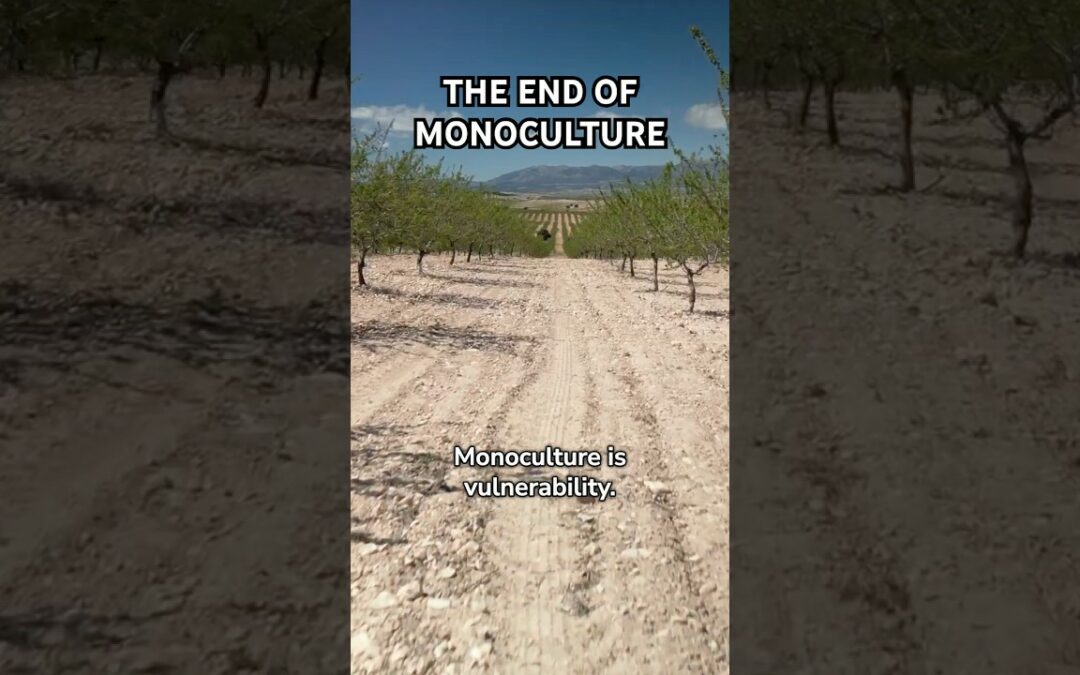 The End Of Monoculture