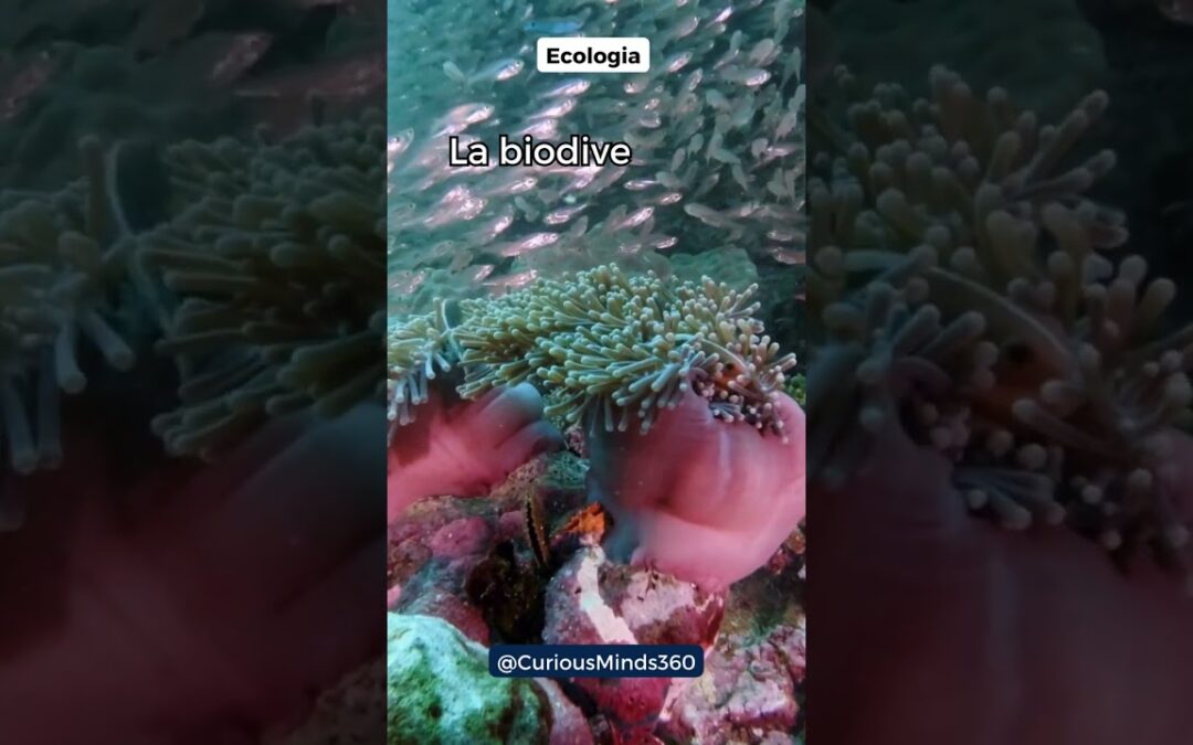 Perché la biodiversità è importante per gli ecosistemi? #shorts