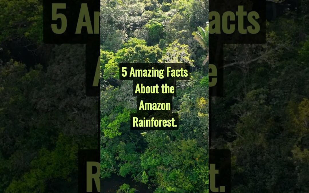 Exploring the Rainforest’s Secrets: 5 Amazing Amazon Facts Exposed!