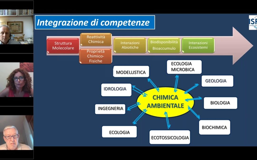 L. PATROLECCO: “Microinquinanti organici convenzionali ed emergenti negli ecosistemi acquatici…”