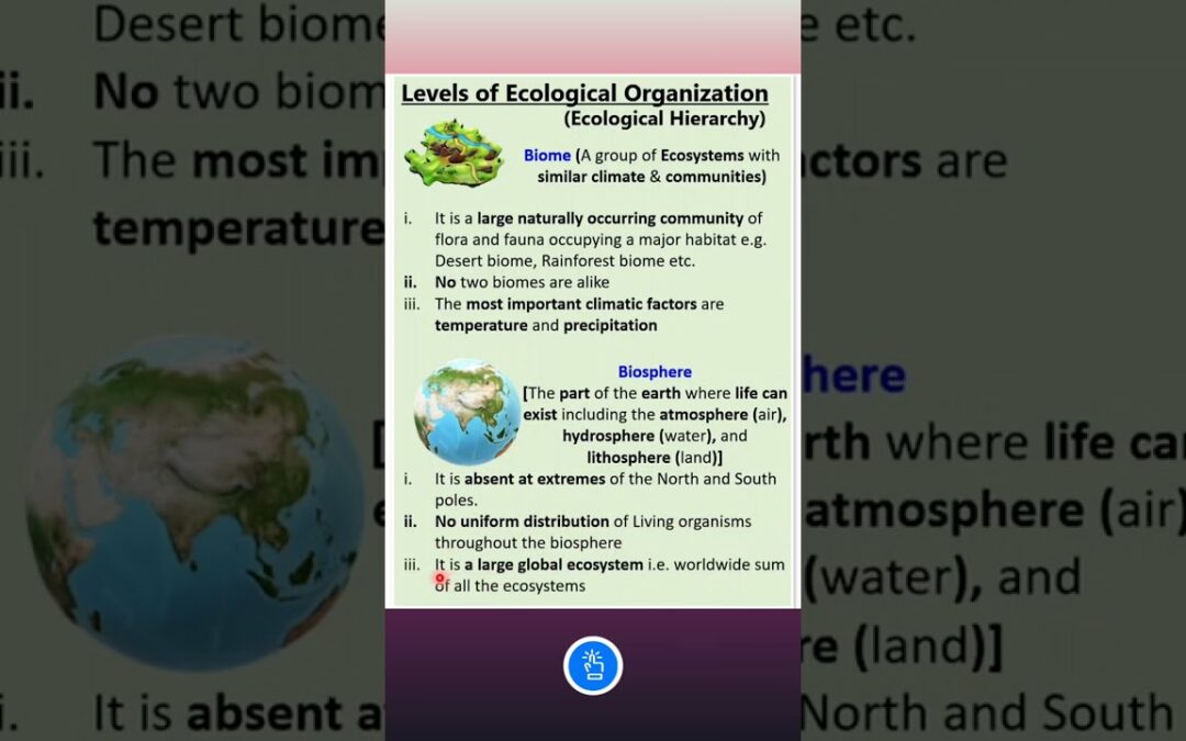 Difference between Biome and Biosphere | Ecological Hierarchy | KVS PGT BIOLOGY