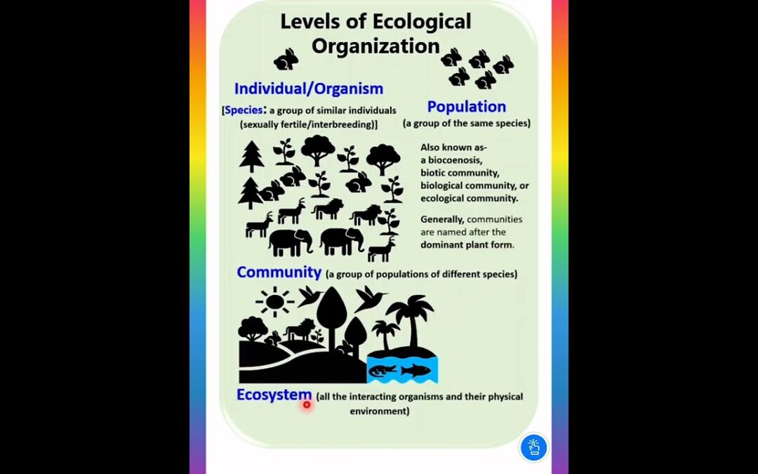 Definition of Species Population Community & Ecosystem | Levels of Ecological Organization | PGT BIO
