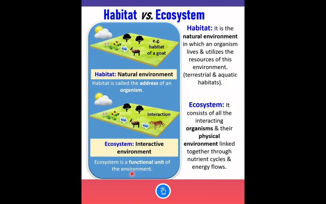 Difference between Habitat and Ecosystem | KVS PGT BIOLOGY