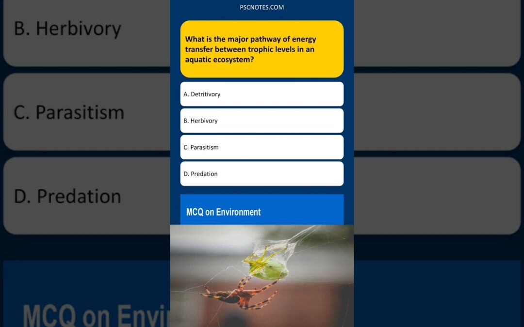 What is the major pathway of energy transfer between trophic levels in an aquatic ecosyste