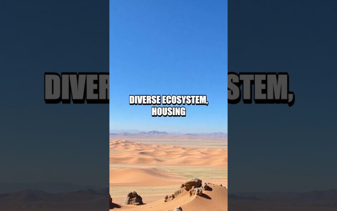 Surprising Facts About the World’s Largest Deserts