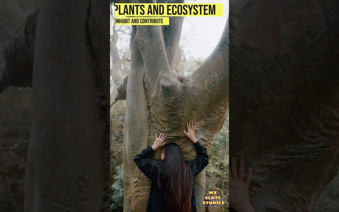 Ecosystems for Kids| MSS |Natural Habitats and Ecosystems Science for Kids | Know About Plants