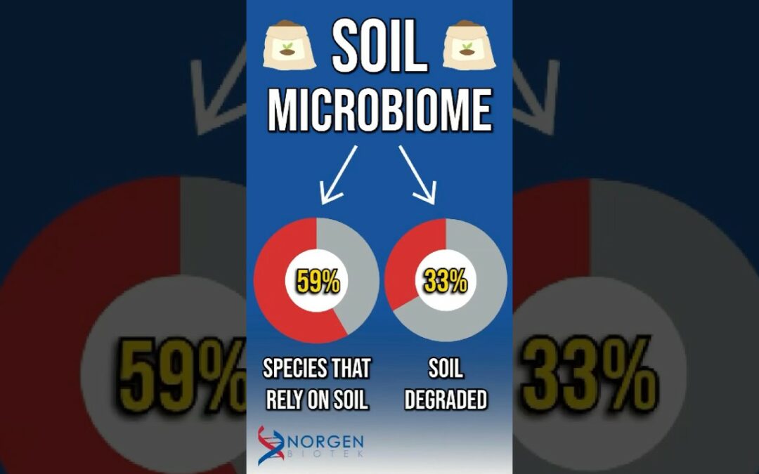 Soil Microbiome: The Hidden Ecosystem Keeping Us Alive!