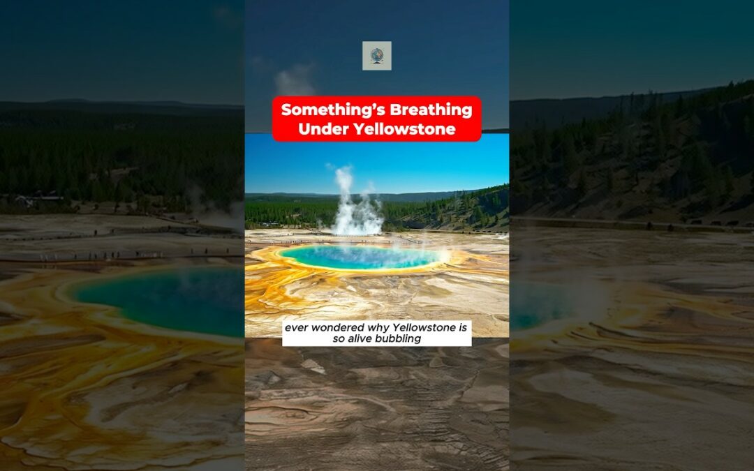 Why is Yellowstone so unique? #yellowstone #facts #factsdaily
