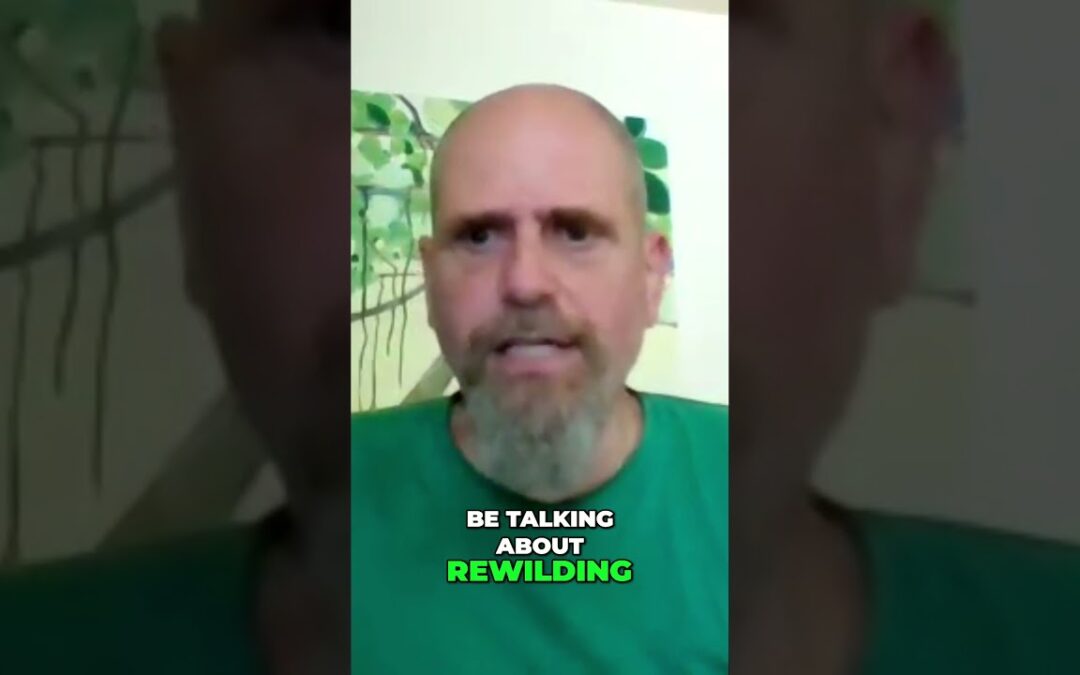 “V-COP 20: Rewilding Planet B – Sadhana Forest Update” With Aviram Rozin