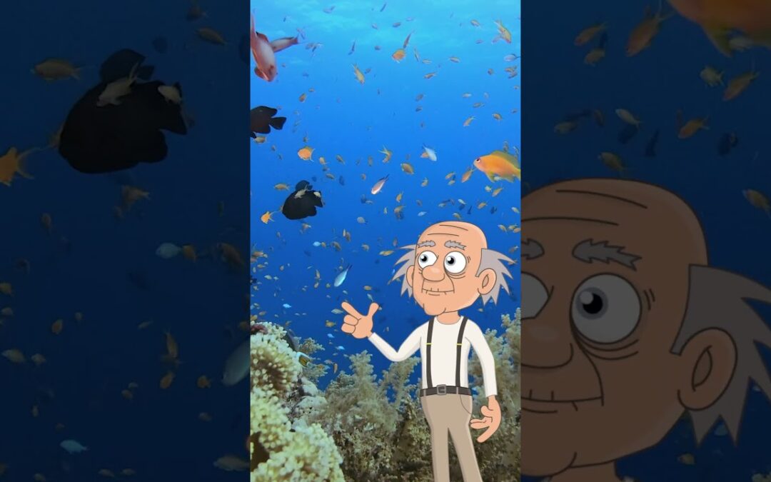Reviving Coral Reefs with Sound  #ecologyeducation #scientists #goodnews