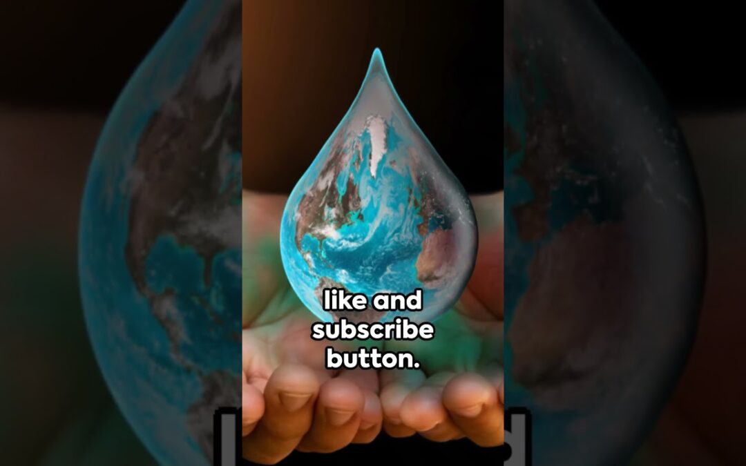 Water 2 : Conservation Techniques : An Earth Day Special #earthday2024 #waterislife #sustainability