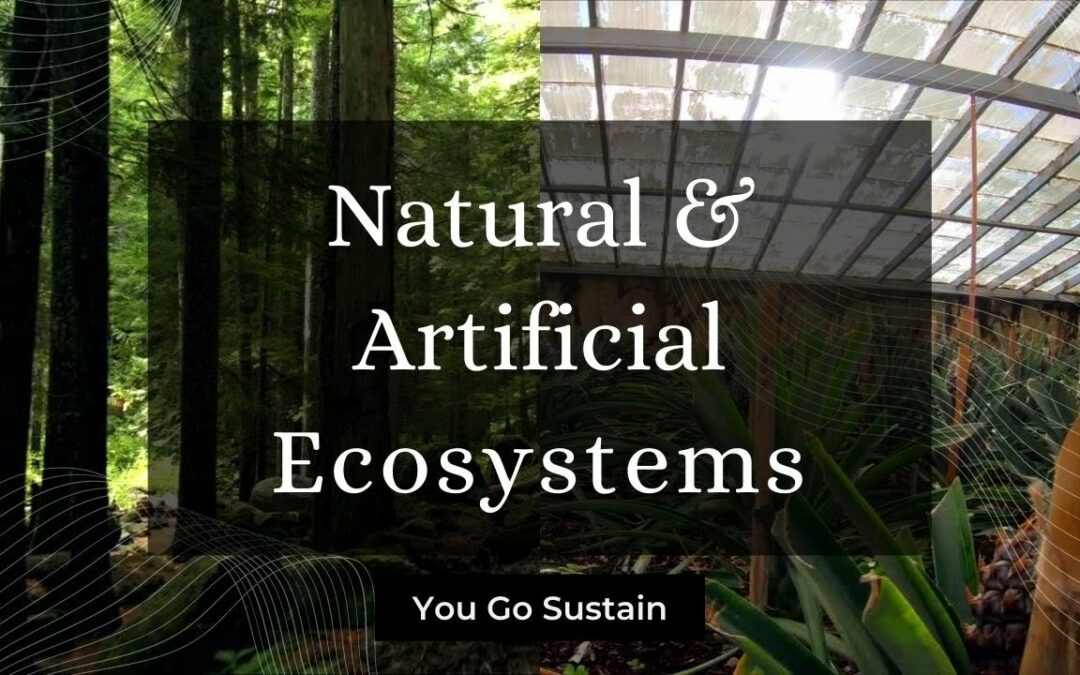 Natural Ecosystems and Artificial Ecosystems