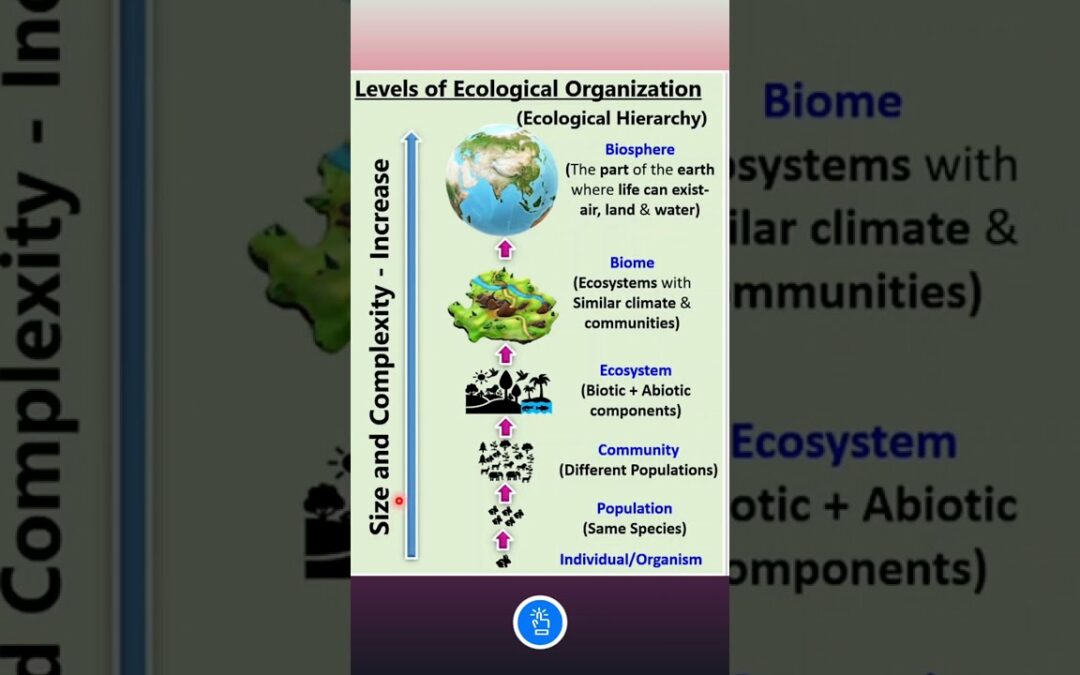 What is Ecological Hierarchy? | Levels of Ecological Organization | KVS PGT BIOLOGY