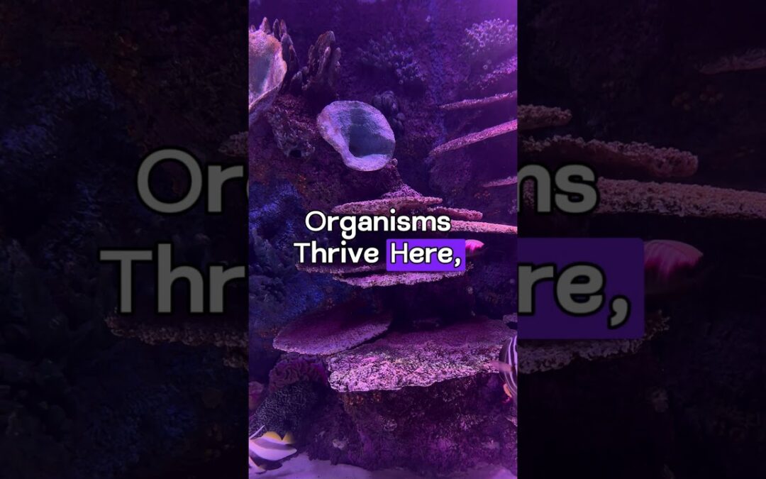 The Secrets of Deep Sea Hydrothermal Vents #shorts #facts #sea #ocean #marine #hydro #vent
