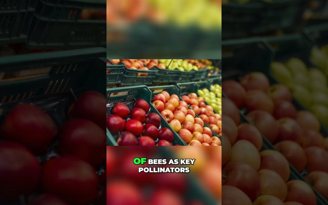 Why Bees are Vital for Our Ecosystem & Food Supply