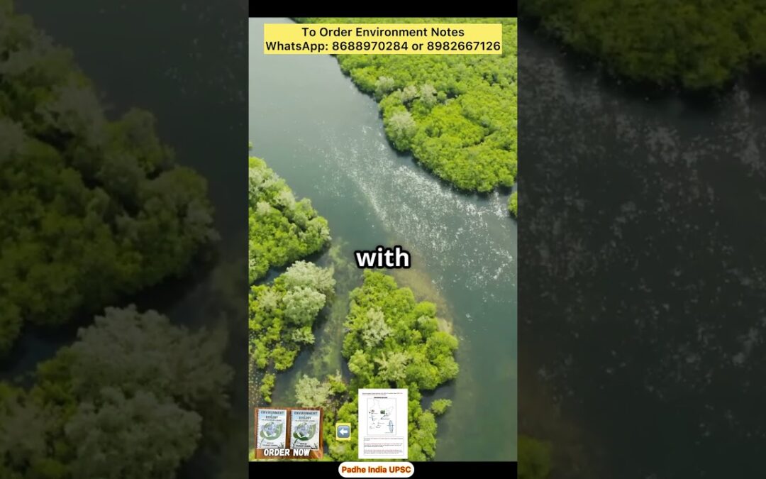 Mangroves Explained | Major Mangrove Forests in India | Environment and Ecology Notes for UPSC