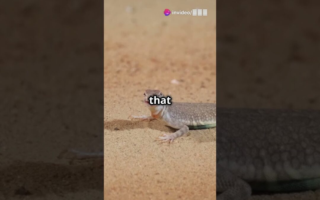 “The Dhub Lizard: Resilient Survivor of the Desert Sands” #marinelifeexploration #marinelifewonders