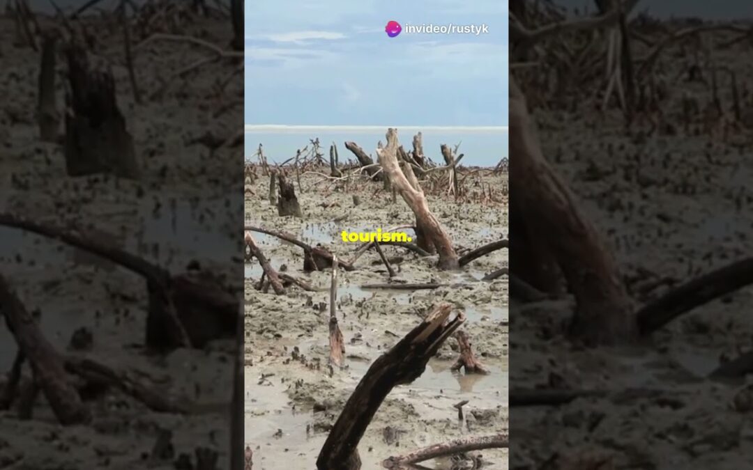 Global Warming’s Deadly Water Crisis  2024 #environment and ecology  #EkoFuture #climatechange.