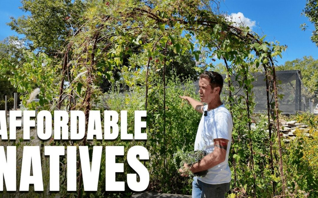 This Texas Nursery Grows Rare Native Plants You Can Actually Afford