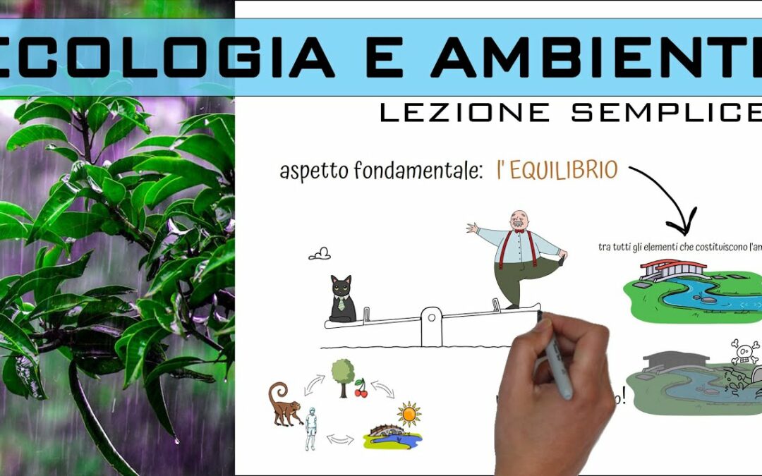 Ecologia e Ambiente. Lezione semplice