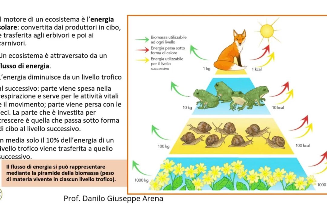 BIOLOGIA – Ecologia ed Ecosistemi. Prof.DaniloTechno
