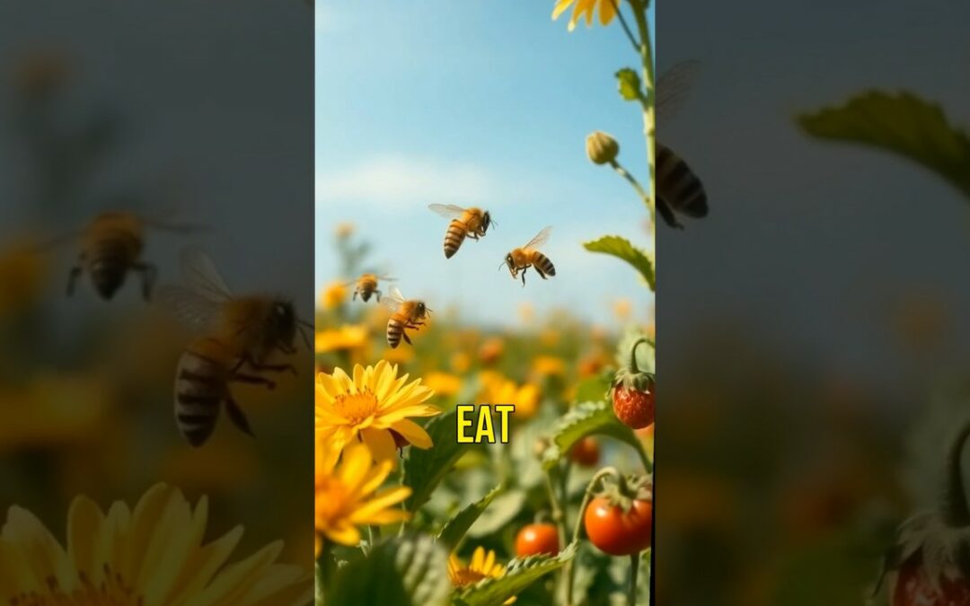 The Critical Role of Honey Bees in Our Ecosystem