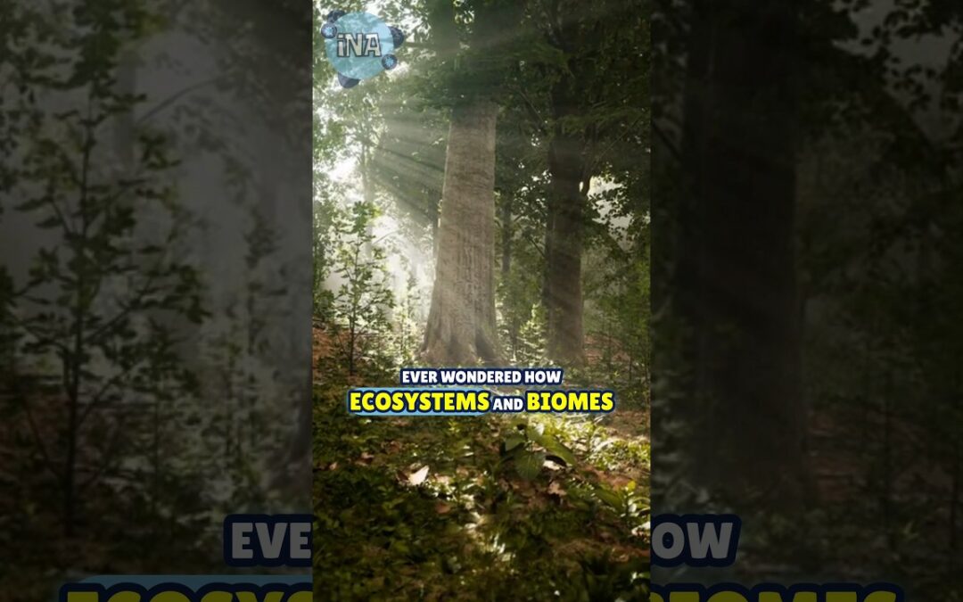 Explore Ecosystems and Biomes: How They Support Life on Earth!