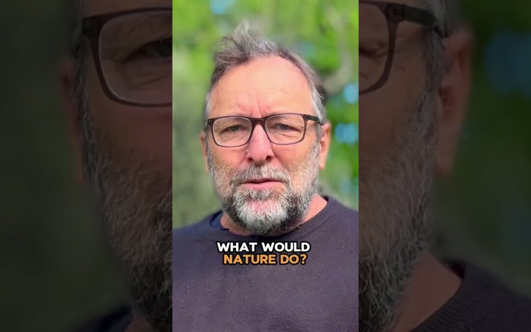 Is Permaculture Possible in Cities? André Soares Explains!