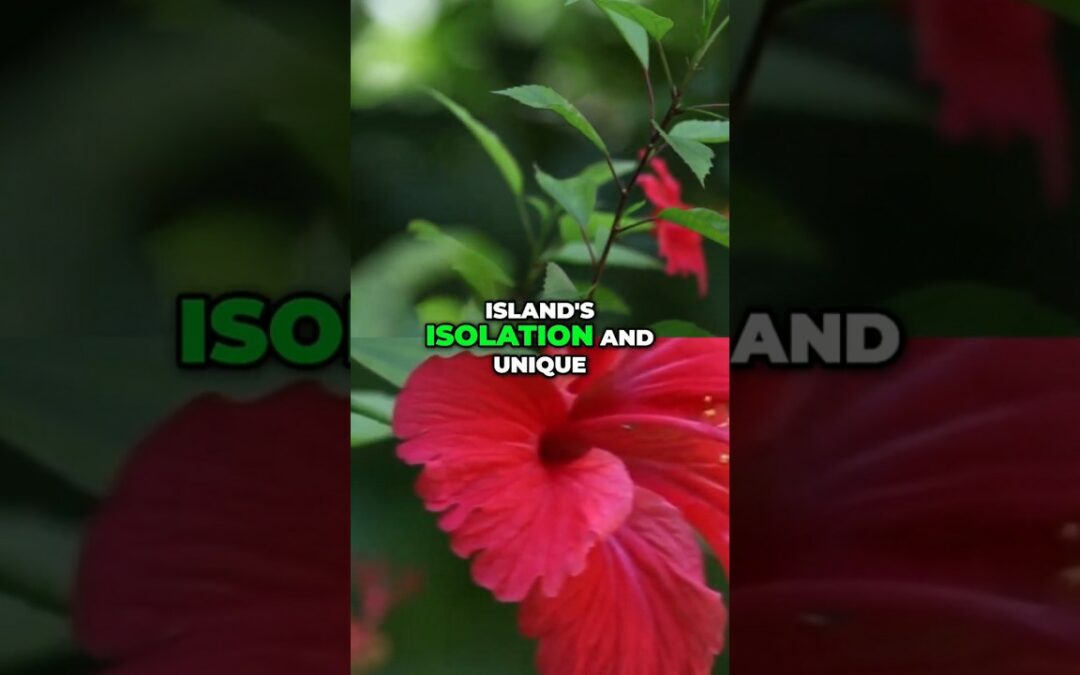 New Caledonia’s Hidden Wildlife: Discover Rare Endemic Species You Won’t Believe Exist! #wildlife