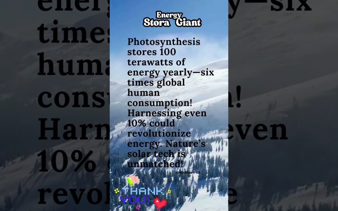PHOTOSYNTHESIS SECRETS That Will BLOW Your Mind! #facts #biology #plants #photosynthesis #ecology