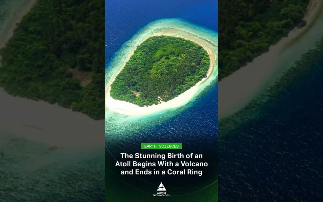 The 30 Million Year Story Behind Every Atoll #shorts #oceanformation #science #nature