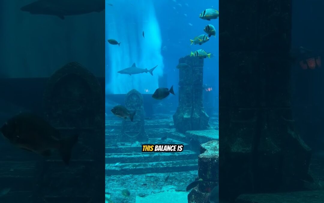 Secrets of the Deep Exploring Ocean Life Like Never Before
