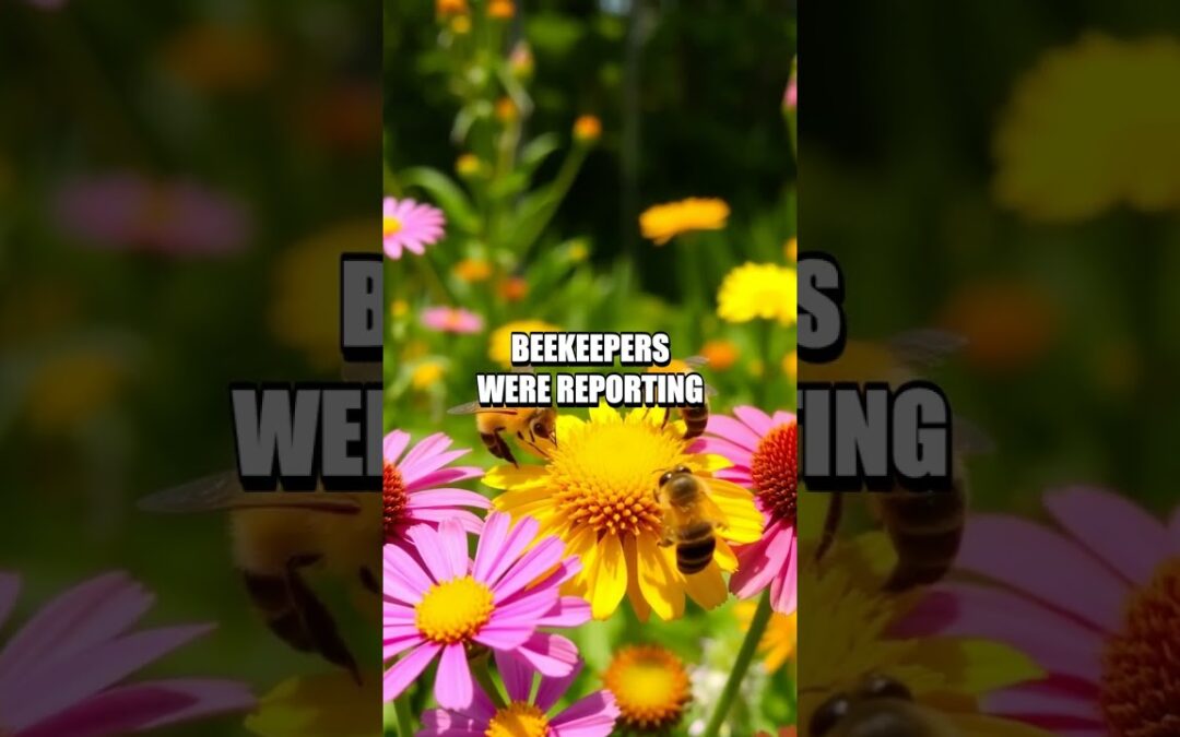 The Great North American Bee Crisis