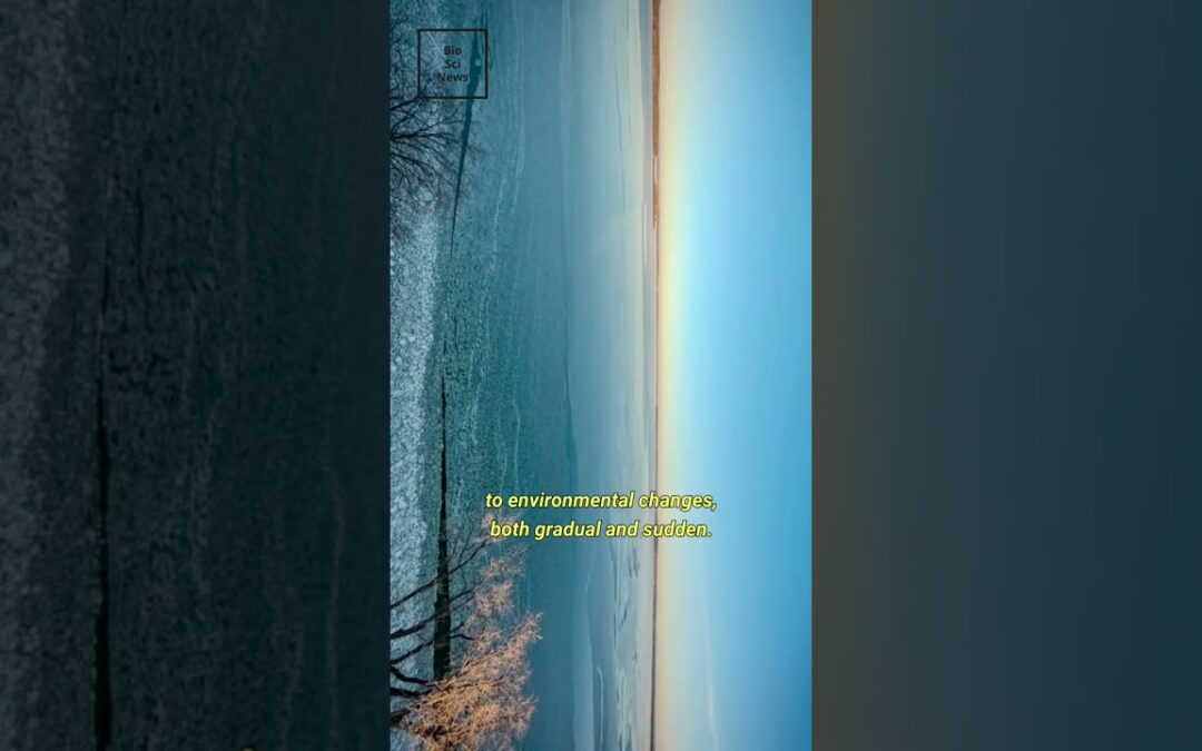 Evolution in a Loop: How Lake Mendota’s Bacteria Adapt to Seasonal Changes!